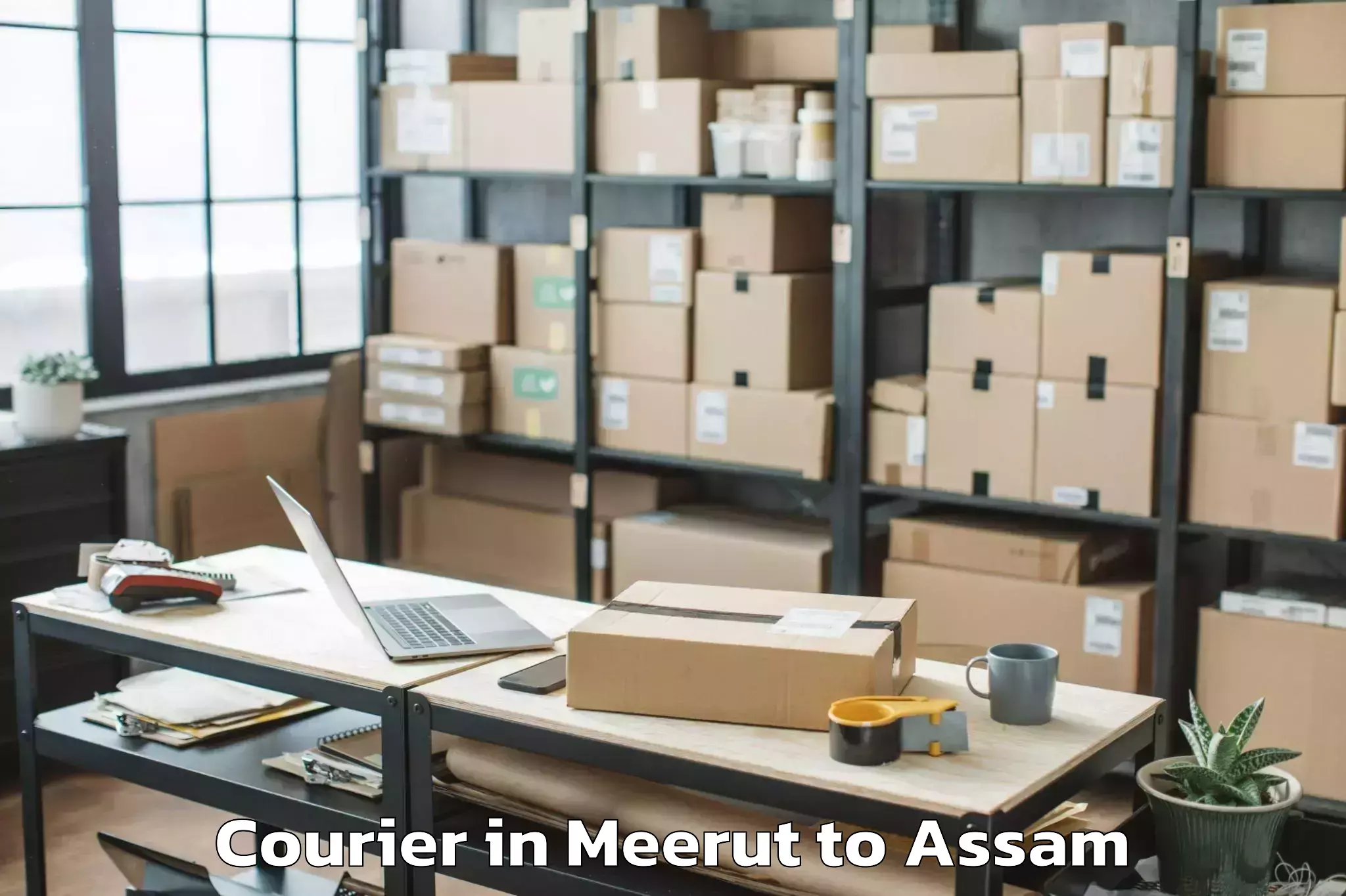 Book Meerut to Abhayapuri Courier Online